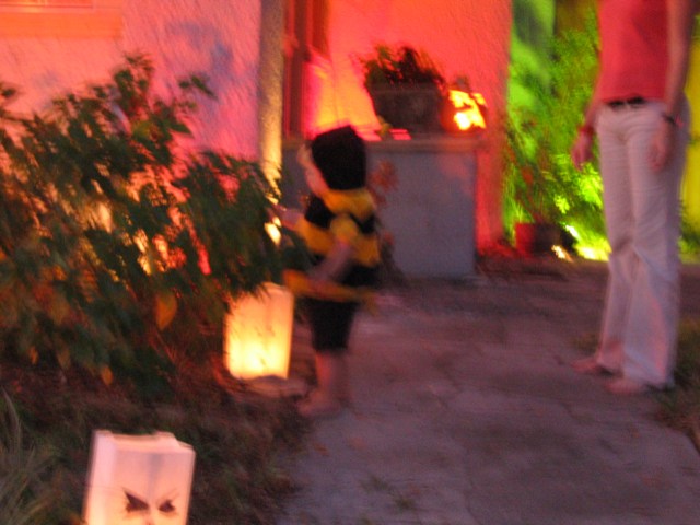 IMG_2710.JPG