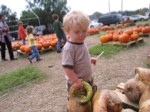 IMG_2674.JPG