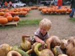 IMG_2675.JPG