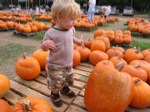 IMG_2678.JPG
