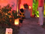 IMG_2710.JPG