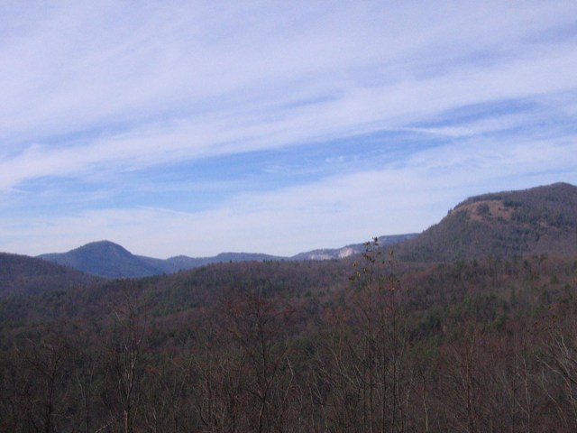IMG_2867.JPG