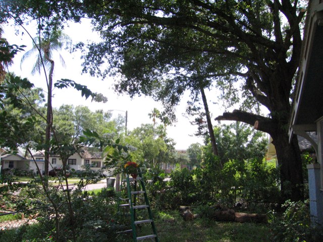 IMG_1829.JPG
