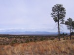 IMG_3946