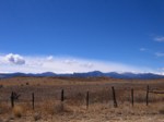 IMG_4153