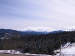 IMG_4221