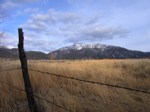 IMG_4237